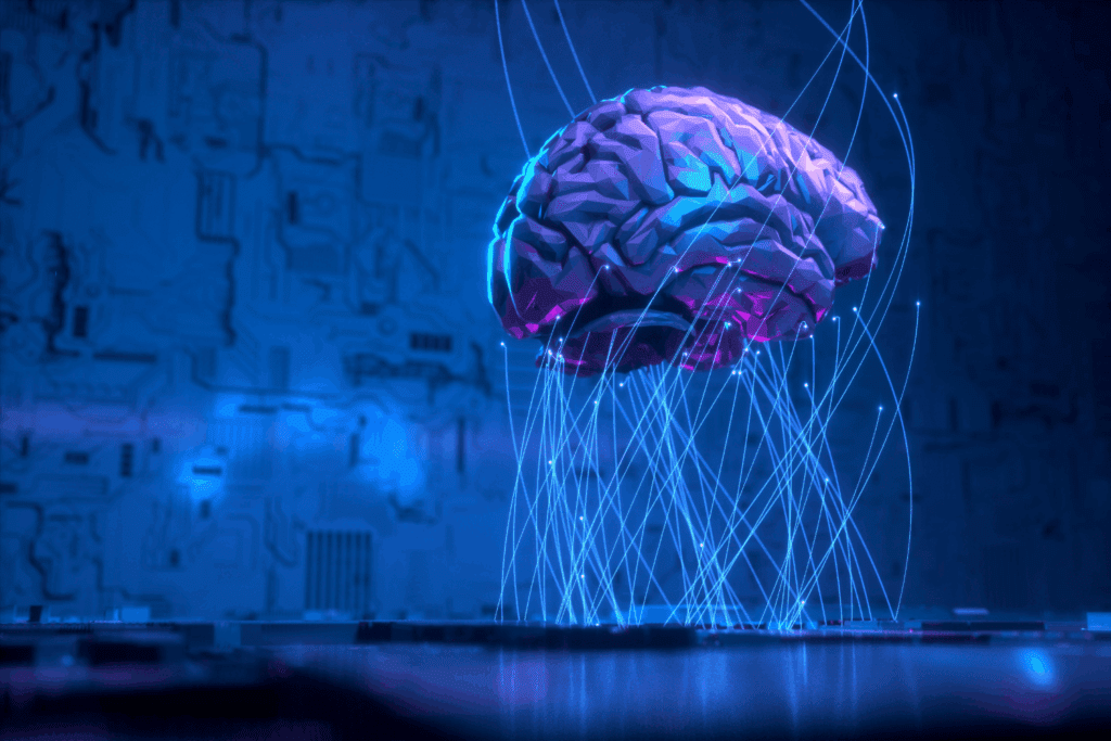 Artikel afbeelding 12